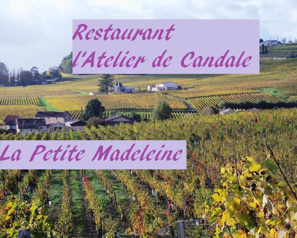La Petite Madeleine Hotel Castillon-la-Bataille Exterior photo